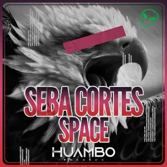 Space by Seba Cortes