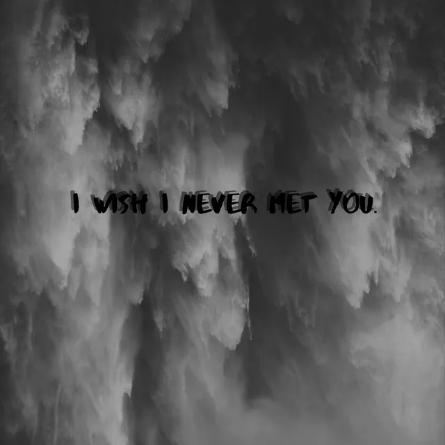 I wish I never met you.