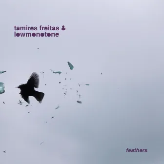 Feathers by Tamires Freitas