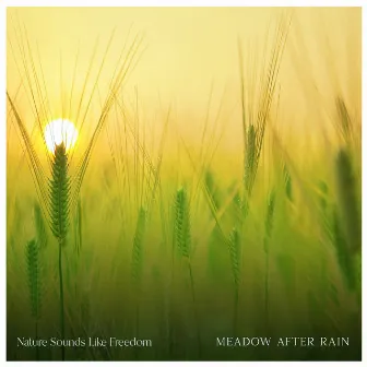 Meadow After Rain by Nature Sounds Like Freedom