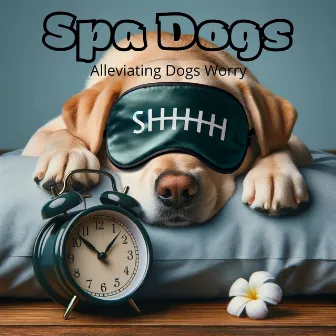 Spa Dogs: Alleviating Dogs Worry, Hypnotherapy of Dogs for Adoption, Pet Relaxation, Stress Relief by Dog Music!