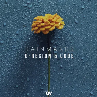 Rainmaker by D-Region & Code