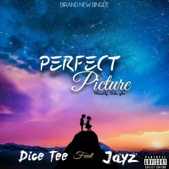 Perfect Picture by Dice Tee