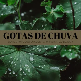 Gotas De Chuva: Sons Chuvosos Suaves Para Iniciantes De Ioga by Sons de água