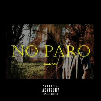 No paro by Vhalian