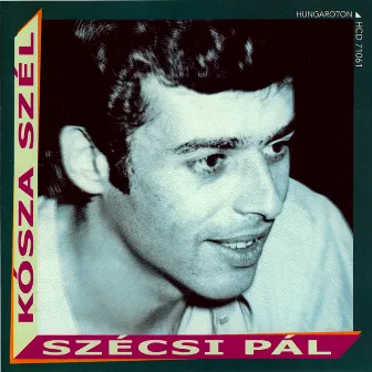 Kósza szél by Pal Szecsi