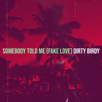 Somebody Told Me (Fake Love) by Dirty Birdy