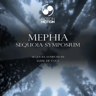 Sequoia Symposium by Mephia