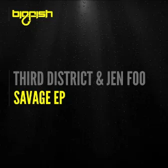 Savage EP by Third District