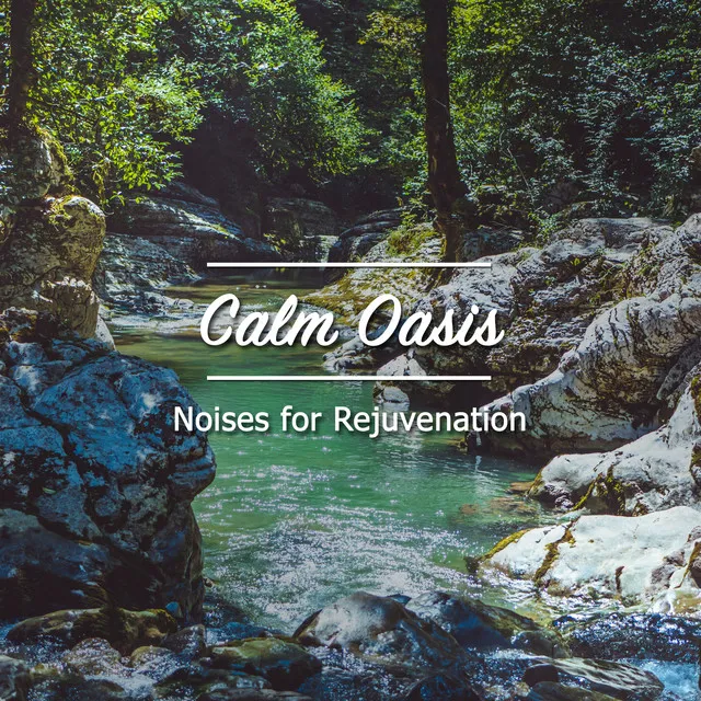 18 Calm Oasis Noises for Rejuvenation