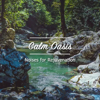 18 Calm Oasis Noises for Rejuvenation by ambiente spazio musica