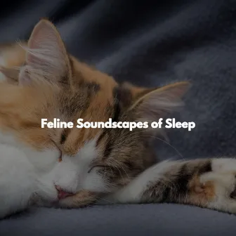 Feline Soundscapes of Sleep by Jazz Romántica para Hoteles