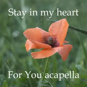 Stay in My Heart by For You Acapella