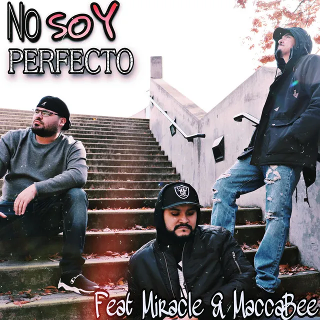 No Soy Perfecto