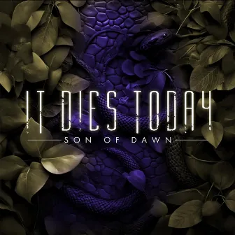 Son of Dawn by It Dies Today