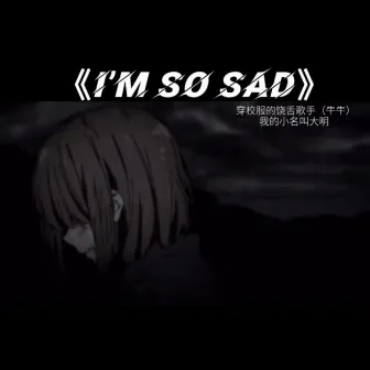 I'm so Sad by 穿校服的饶舌歌手(牛牛)