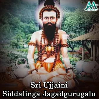 Sri Ujjaini Siddalinga Jagadgurugalu by B.V. Srinivas