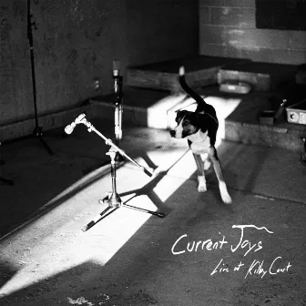 Live at Kilby Court by Current Joys