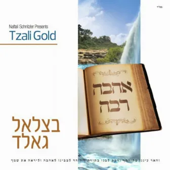 Ahavu Rabu by Tzali Gold