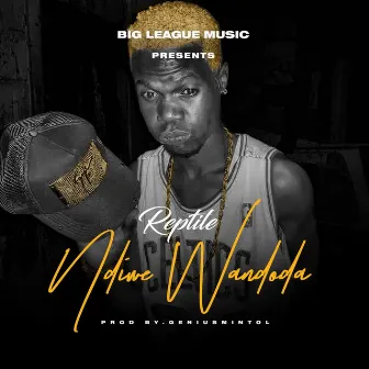 Ndiwe Wandoda by Reptile