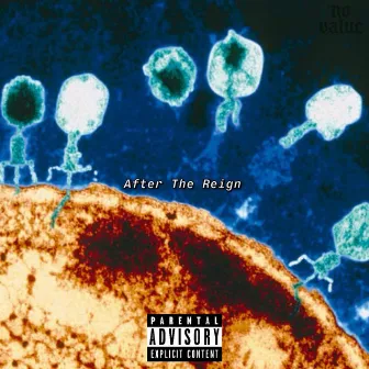 After The Reign by CASSO