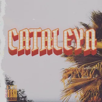 CATALEYA by Shot