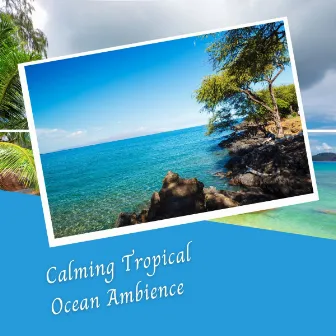 Calming Tropical Ocean Ambience by Breastfeeding Music