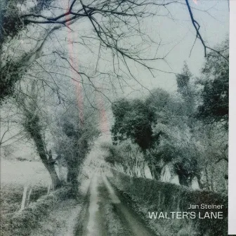 Walter's Lane by Jan Steiner