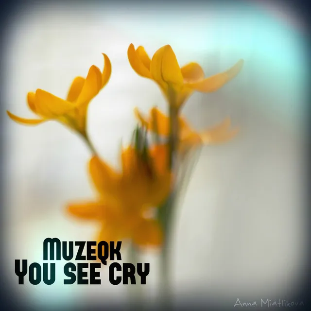 You See Cry - Akis Ziak Remix