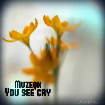 You See Cry by Muzeqk