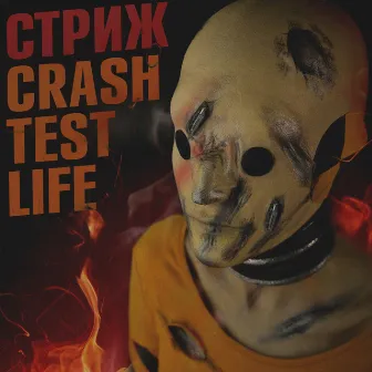 Crash Test Life by Стриж