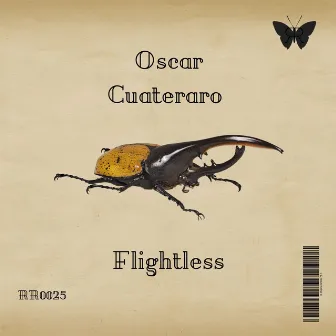 Flightless by Oscar Cuateraro