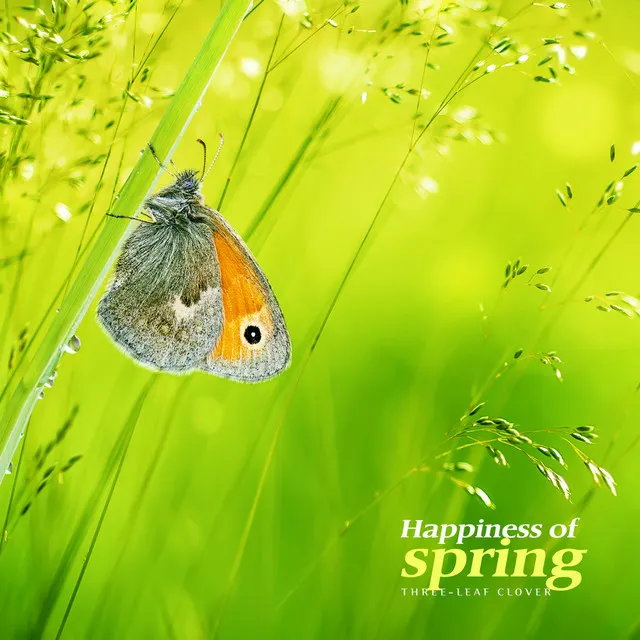 The happiness that spring brings