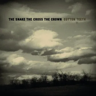 Cotton Teeth by The Snake The Cross The Crown