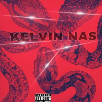 Snakes by Kelvin Nas