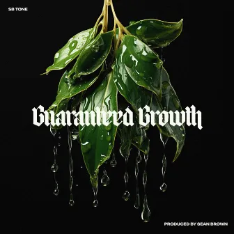 Guaranteed Growth by SB Tone