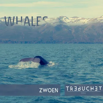 Whales by Zwoen