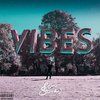 Vibes by Cam Stone