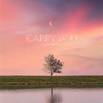 Carry You by Vonzell Solomon