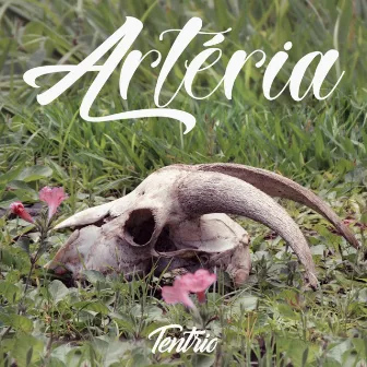 Artéria by Tentrio