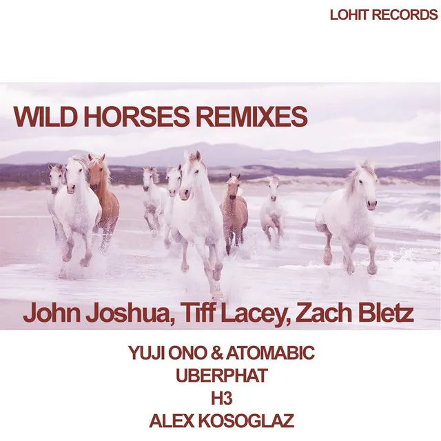 Wild Horses - Yuji Ono & Atomabic Remix