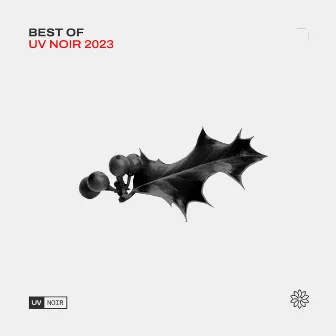 Best of UV Noir 2023 by Das Pharaoh