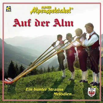 Auf der Alm 