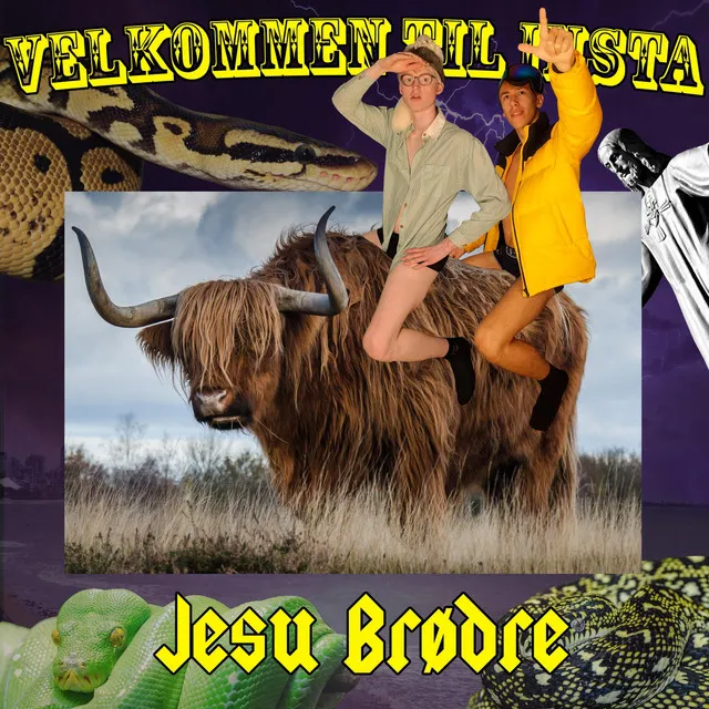 Velkommen Til Insta