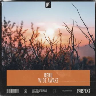 Wide Awake by KEKU