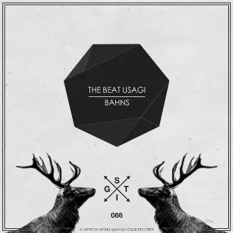 Bahns by The Beat Usagi