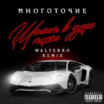 Щемит в душе тоска (Walterro Remix) by Mnogotochie