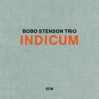 Indicum by Bobo Stenson Trio