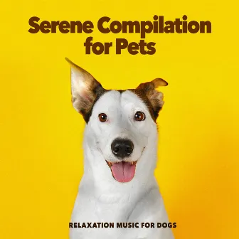 Serene Compilation for Pets by Relaxation Music for Dogs