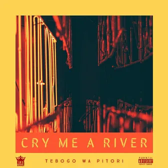 Cry Me A River by Tebogo Wa Pitori